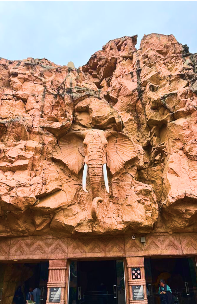 sun city elephant entrance